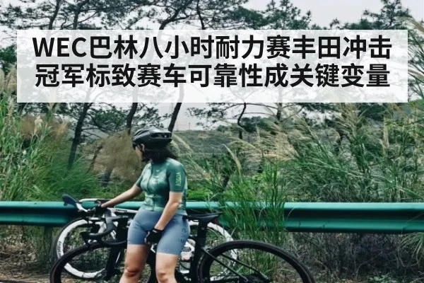 WEC巴林八小时耐力赛丰田冲击冠军标致赛车可靠性成关键变量